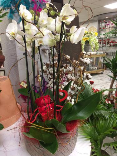 Réf:3009 Coupe d'orchidées